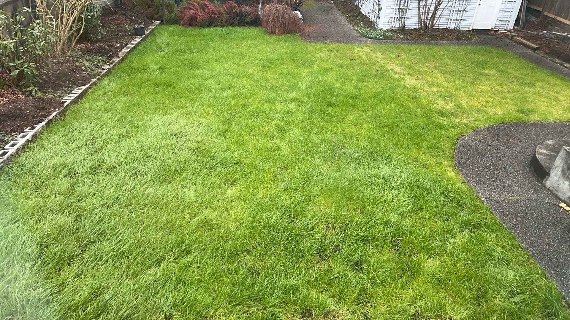 beautiful lawn