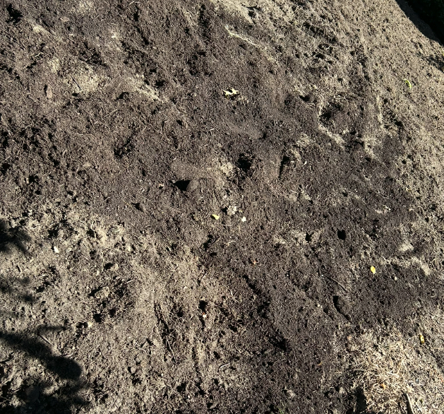 aerated lawn soil