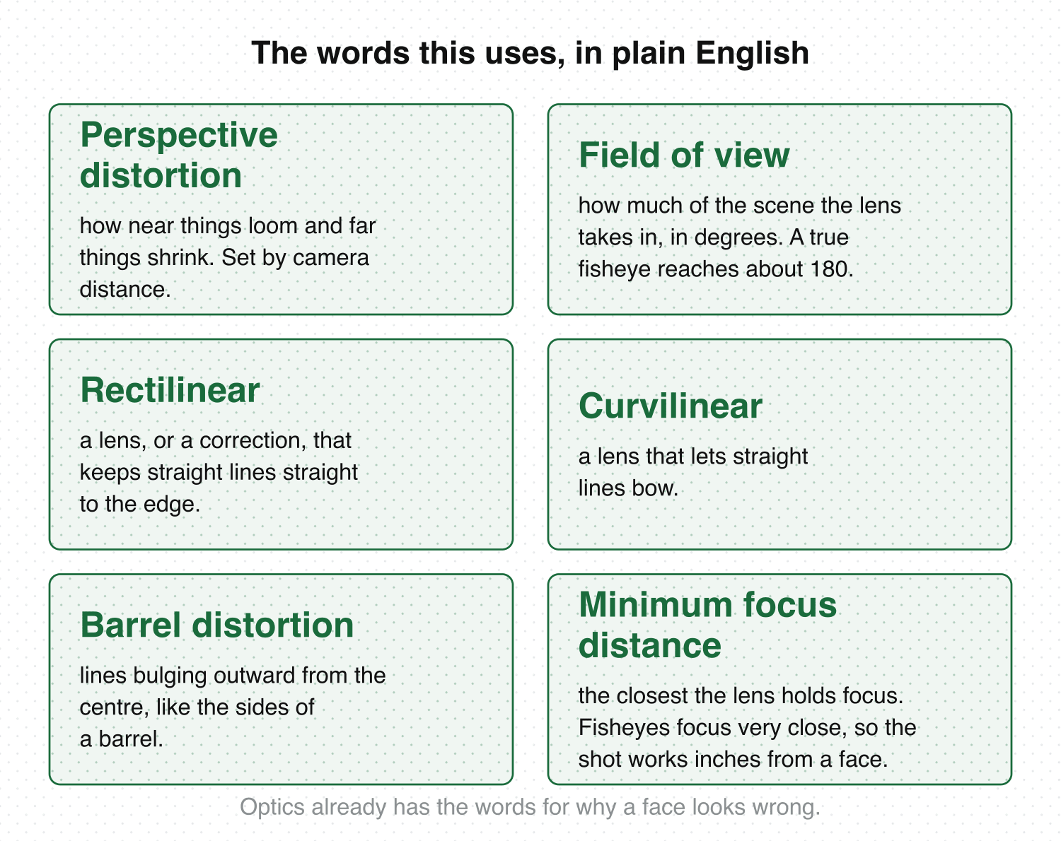 Six optics terms defined in large type: perspective distortion, field of view, rectilinear, curvilinear, barrel distortion and minimum focus distance