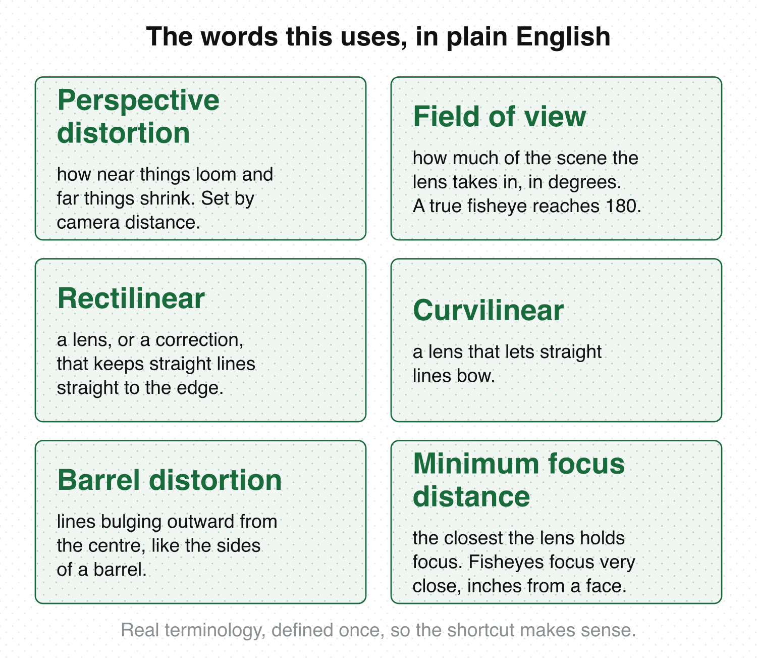 Six optics terms defined in large type: perspective distortion, field of view, rectilinear, curvilinear, barrel distortion and minimum focus distance